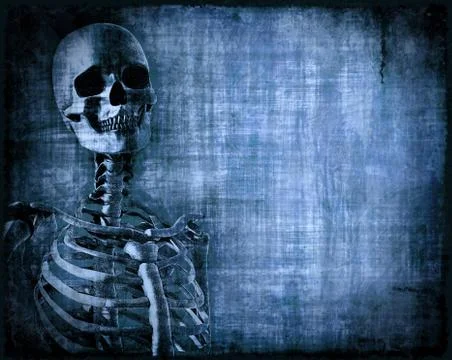 Skeleton Parchment Stock-Illustration