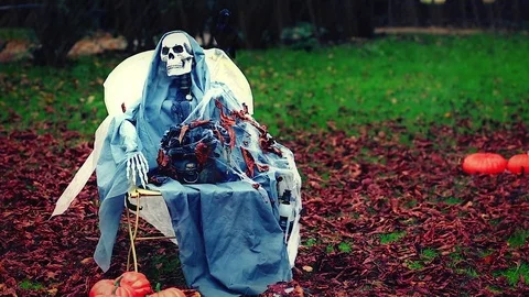 Skeleton in the Park Stock Footage 81088470