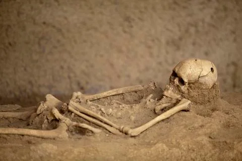 Skeleton Stock Photos
