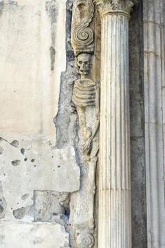 Skeleton Stock Photos