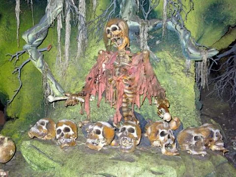 Skeleton Stock Photos