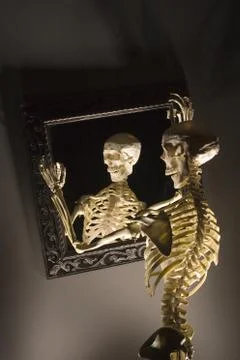 Skeleton Foto stock