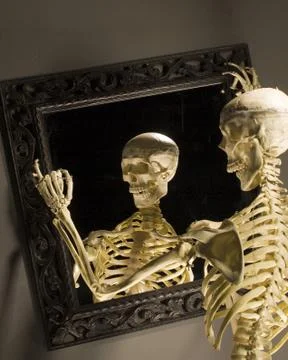 Skeleton Stock Photos