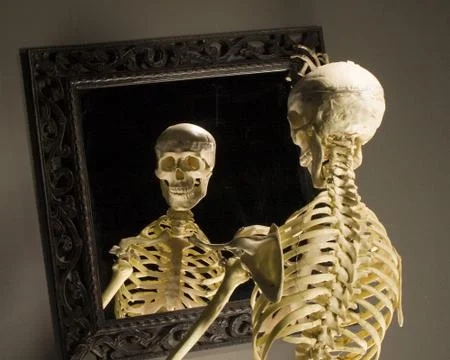 Skeleton Stock Photos