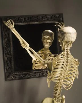 Skeleton Stock Photos