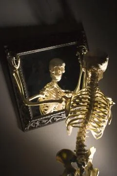 Skeleton Stock Photos