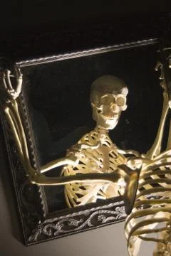 Skeleton Stock Photos