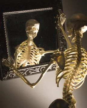Skeleton Stock Photos