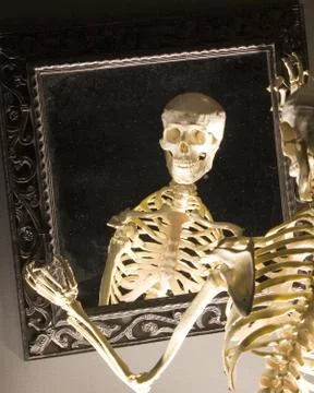 Skeleton Stock Photos