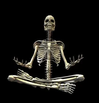 Skeleton Stock Photos