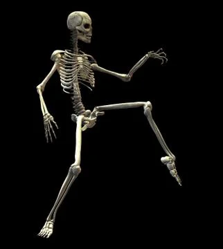 Skeleton Stock Photos