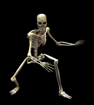 Skeleton Stock Photos