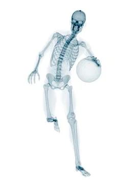 Skeleton playing basketball, artwork Stock Illustration