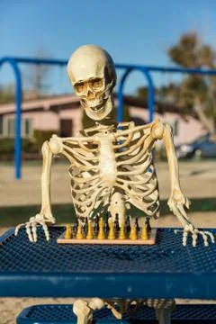 Skeleton playing chess in a park Stock Photos