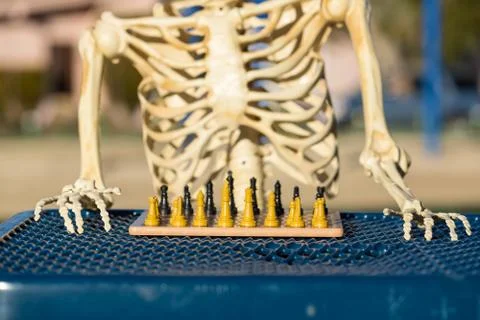 Skeleton playing chess in a park Stock Photos