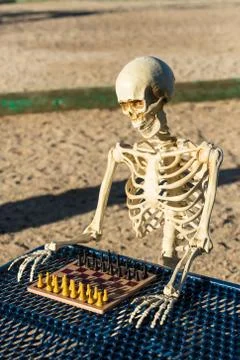 Skeleton playing chess in a park Stock Photos