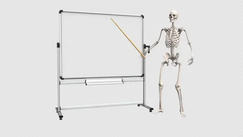 Skeleton with pointer stick near whiteboard - looped with alpha channel. Stock Footage 246546183