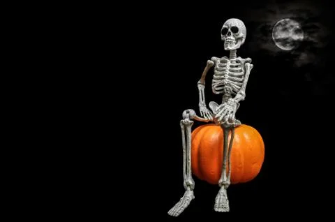 Skeleton Portrait 写真素材