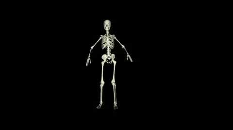 Skeleton posing Stock Footage 12553480