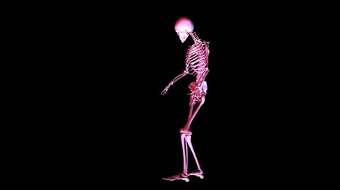 Skeleton posing Stock Footage 12553517