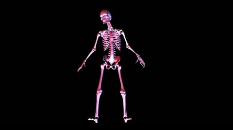 Skeleton posing Stock-Footage 12553531