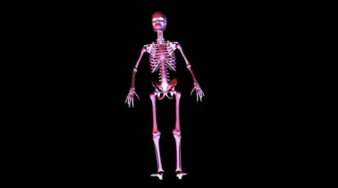 Skeleton posing Stock Footage 12553564