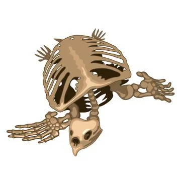 The skeleton of a prehistoric turtle isolated on white background. Vector Stockillustratie