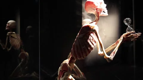 Skeleton reaching toward hourglass time concept Stock Footage 330679791