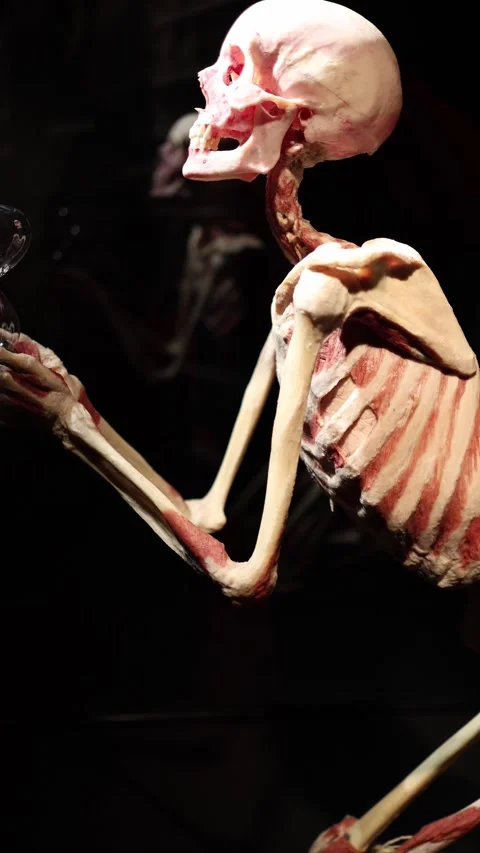 Skeleton reaching toward hourglass time concept Stock Footage 331233104