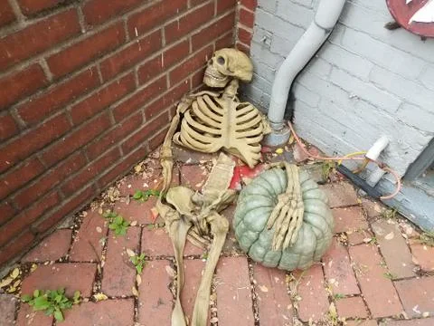 Skeleton on red bricks with green pumpkin or gourd Stock Photos