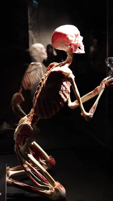 Skeleton reflection and time symbolism Stock Footage 331233080