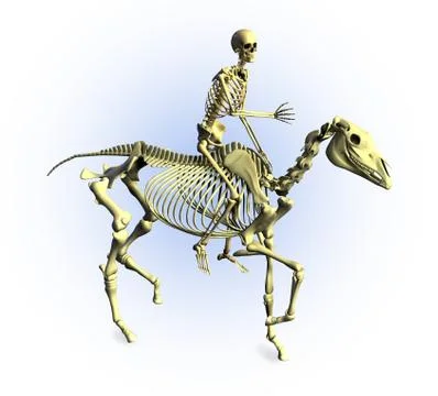Skeleton Rider Stock Illustration