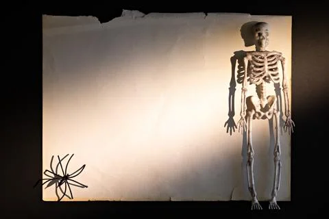 Skeleton at right edge of vintage torn paper with wide copy space for Hallo.. Foto stock