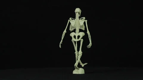 Skeleton rotates on a black background loop Stock Footage 35437803
