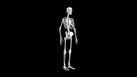 Skeleton rotation loop Video stock 770740