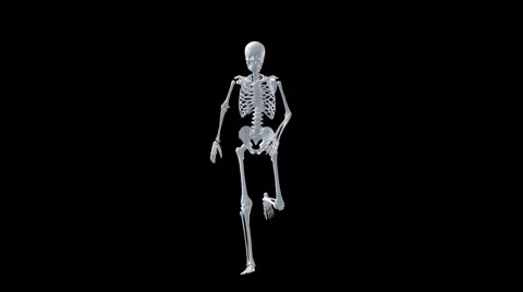 Skeleton running Stock Footage 942208