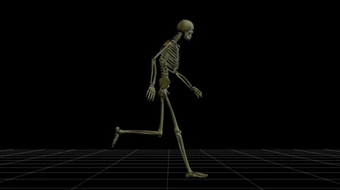 Skeleton running Stock Footage 942210