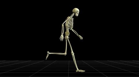 Skeleton running Stock Footage 942214