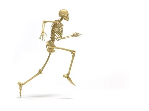 Skeleton running Stock Illustration