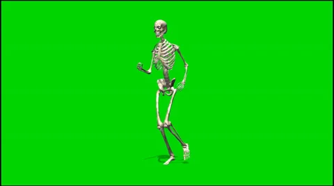 Skeleton is running - isolated green screen footage 3 Stock Footage 33646406