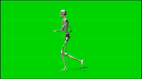 Skeleton is running - isolated green screen footage 5 Stock-Footage 33646544