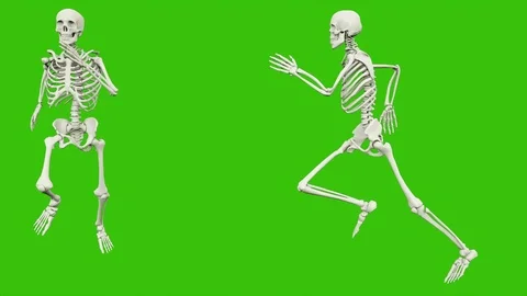 The skeleton runs. Seamless loop animation on green screen. Video stock 97415723