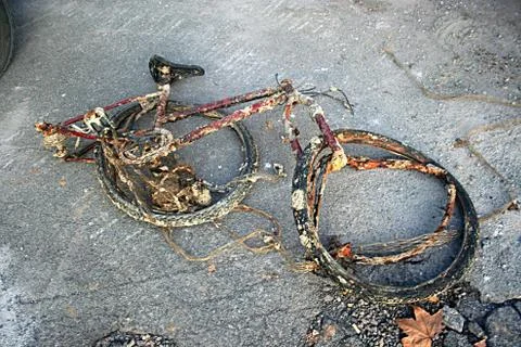 Skeleton rusted bicycle Stock Photos