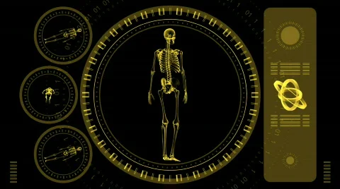 Skeleton Scan Screen - Hi-tech 15 (HD) 動画素材 626566