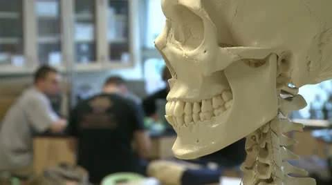 Skeleton in Science class with middle students in the back ground (1 of 2) Stock Footage