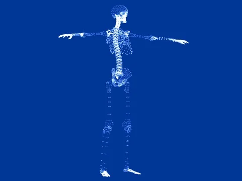 Skeleton seen at 360 degrees, 3 dimensions. Rotation of a skeletal body Stock Footage 80801321