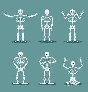 Skeleton set of different poses. Expression of dead emotions. Angry Skull and イラスト素材
