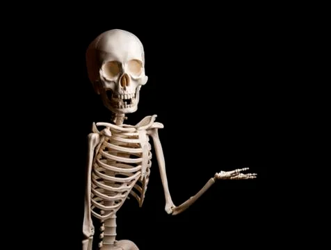 Skeleton shows something on black background Stock Photos
