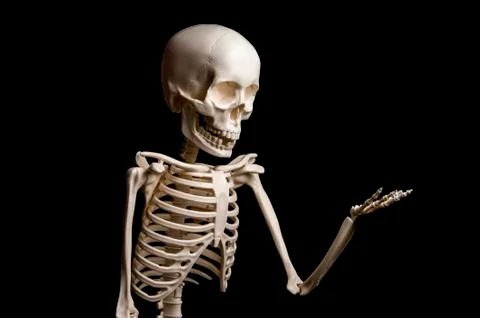 Skeleton shows something on black background Stock Photos