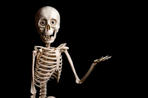 Skeleton shows something on black background Stock Photos